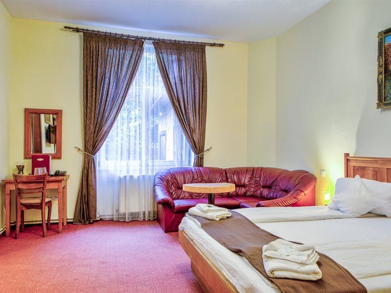 Residence Ambient ブラショフ エクステリア 写真